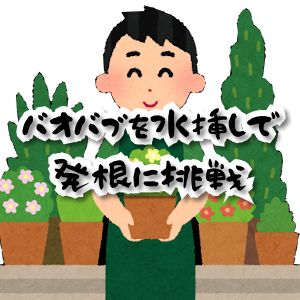 card-image